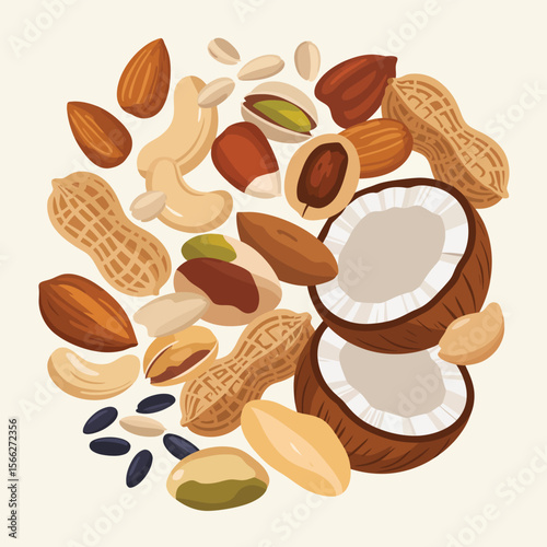 Assortment of healthy nuts and coconut halves arranged in a circular pattern
