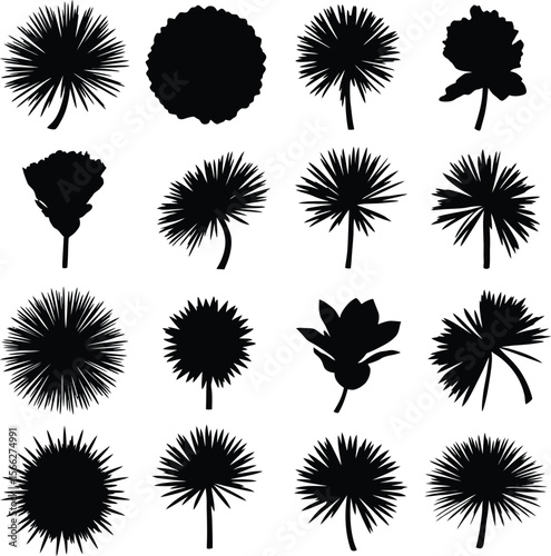 Abstract Organic Shapes Silhouettes Vector Set, Diverse Natural and Foliage-Inspired Forms, Modern Design Elements for Botanical and Decorative Concepts.