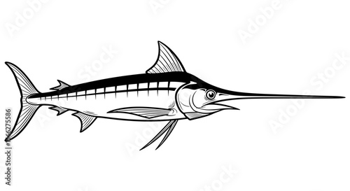 Swordfish illustration with detailed lines and elongated bill in black and white
