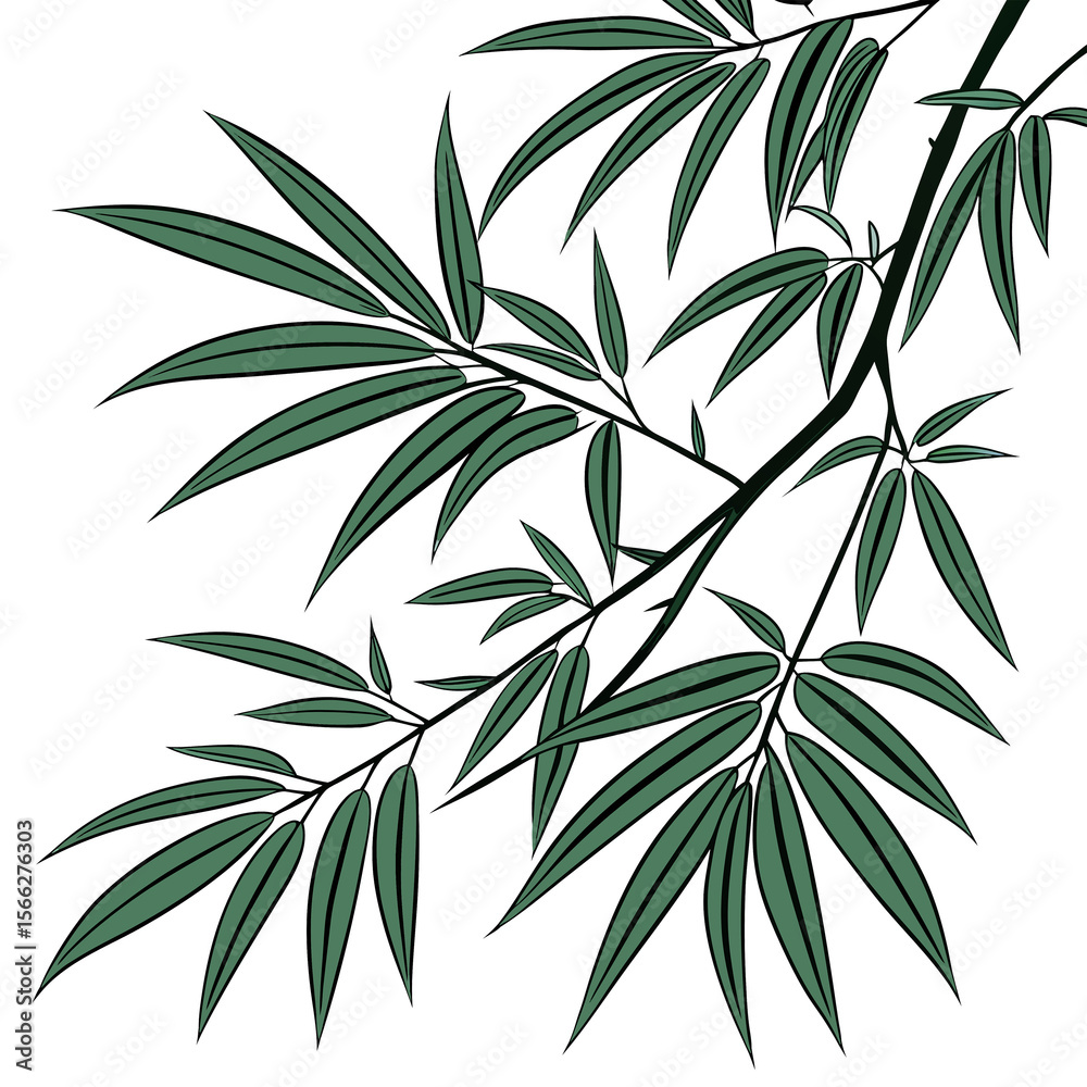 Fototapeta premium bamboo leaves isolated on white background