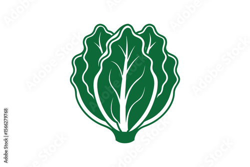 Green Lettuce Head Silhouette on White Background