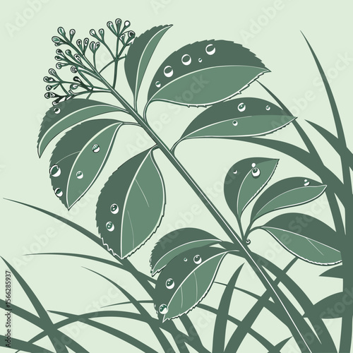 Illustration of a plant with leaves and berries covered in dew drops among blades of grass art
