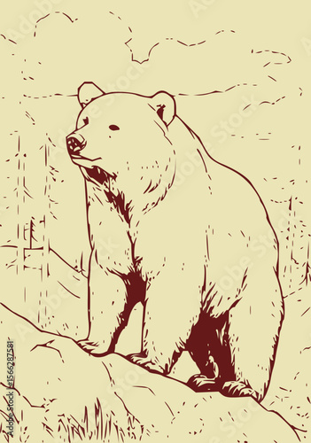 Animal Vector Collection