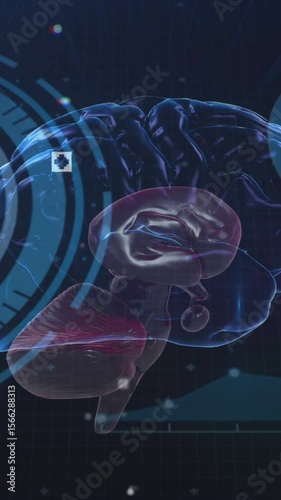 Animation of scopes scanning and human brain spinning with flickering spots