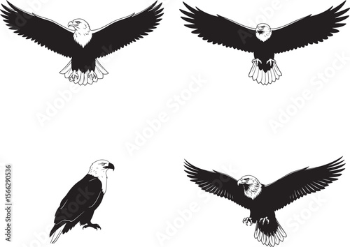 Bald Eagle Silhouettes