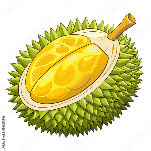 Realistic Durian Fruit Vector PNG Isolated with Spiky Skin and Yellow Flesh