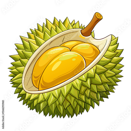 Realistic Durian Fruit Vector PNG Isolated with Spiky Skin and Yellow Flesh