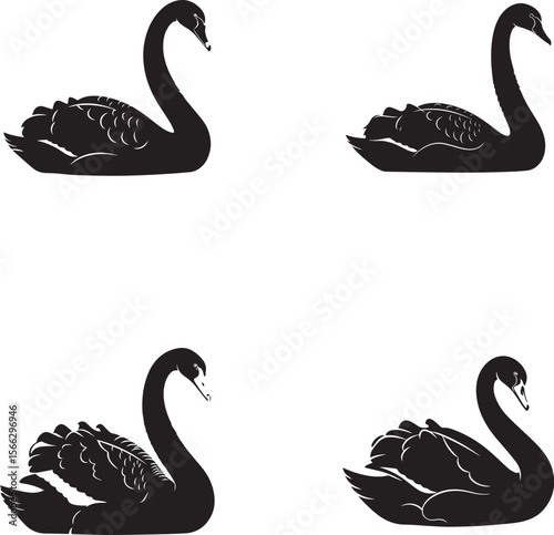 Black Swan Silhouette