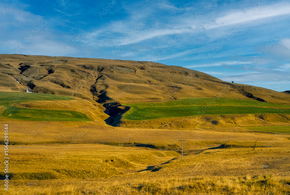 Fototapeta premium Day time of golden field for travel in iceland, summer time season travel destination.