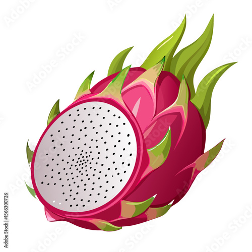 Realistic Dragon Fruit PNG Vector – Exotic Tropical Pitaya Fruit Illustration