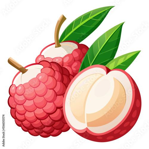 Lychee Fruit PNG Vector – Tropical Botanical Clipart with Peeled and Whole Lychee on Transparent Background