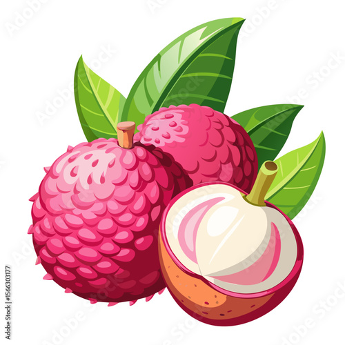 Lychee Fruit PNG Vector – Tropical Botanical Clipart with Peeled and Whole Lychee on Transparent Background