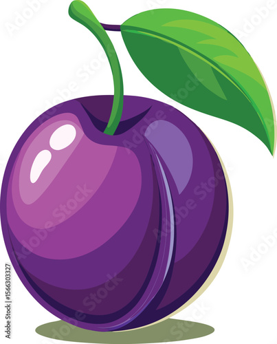 vector illustration of plums