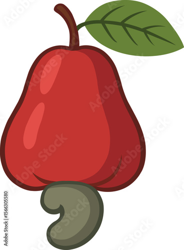 Cashew Fruit Illustration with Leaf and Nut
