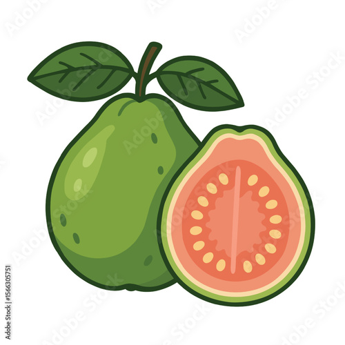 Guava Fruit Illustration with Half Cut Guava 