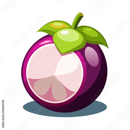 Mangosteen PNG Vector - Tropical Fruit Illustration, Ripe Cutout with White Flesh, Transparent Background