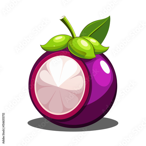 Mangosteen PNG Vector - Tropical Fruit Illustration, Ripe Cutout with White Flesh, Transparent Background