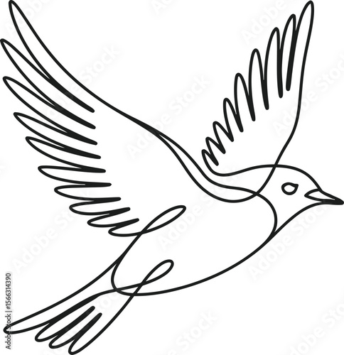 Black Line Drawing of a Bird in Flight on White Background