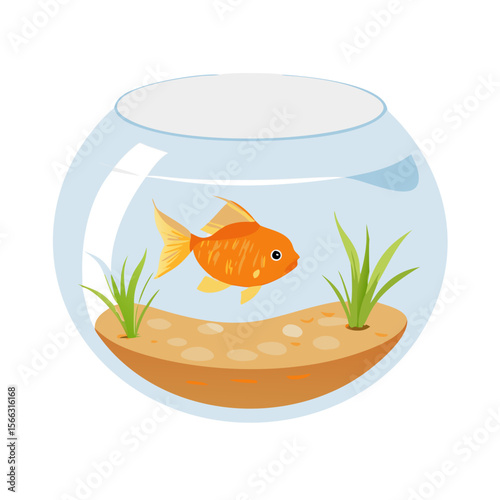 goldfish in a glass