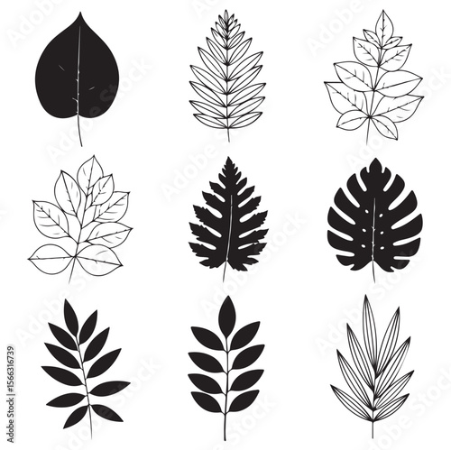 Minimal Botanical Leaves Line Art Vector Set – Black on White Background