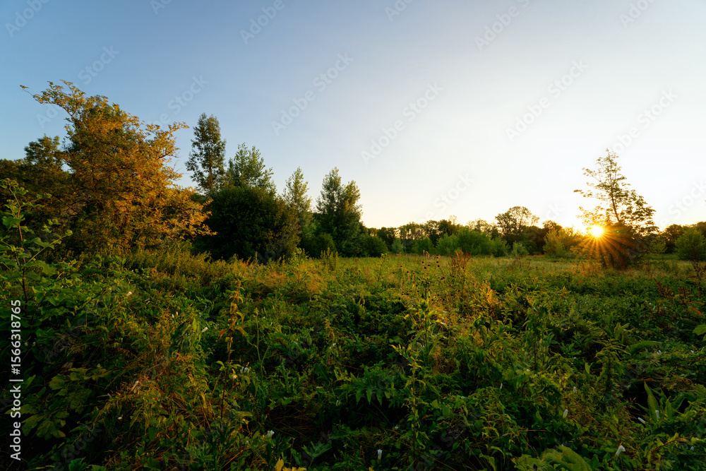 Fototapeta premium Marshes of the lower valleys of the Juine and the Essonne river. Écharcon village