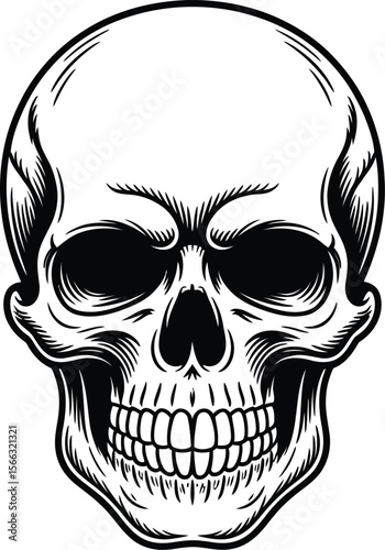 Black and white skull illustration with detailed bone structure and teeth
