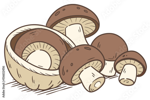 Collection of diverse mushroom illustrations in vibrant colors