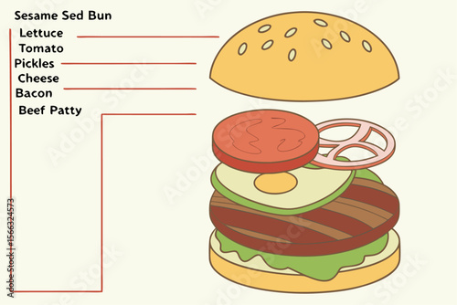 Detailed cross section illustration of a layered hamburger presented as an infographic