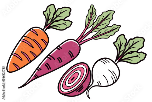 Vibrant stylized carrots beets and radishes banner design