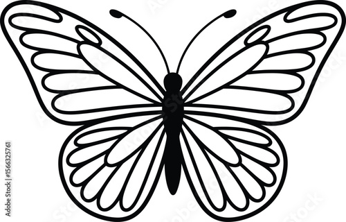 Black and white butterfly outline illustration with detailed wing patterns