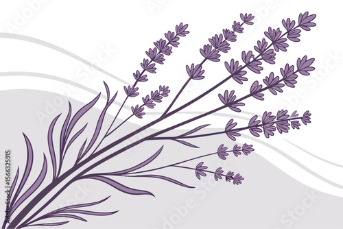 Elegant lavender branch botanical illustration with delicate floral details