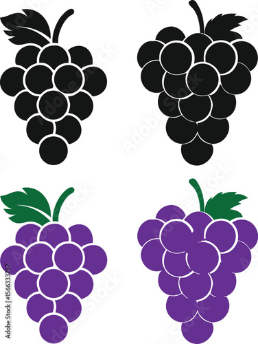 vector illustration of grapes