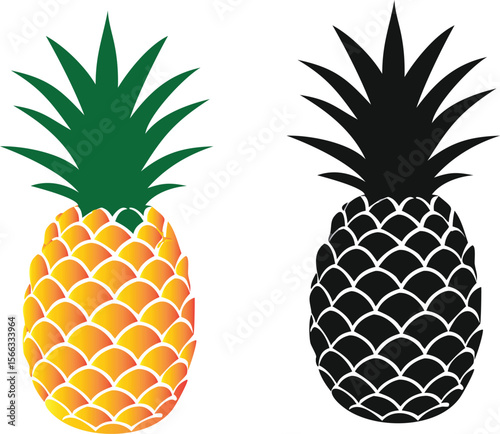 vector illustration of pineapple