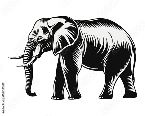 Collection of diverse elephant silhouettes featuring distinctive poses and profiles for creative design projects