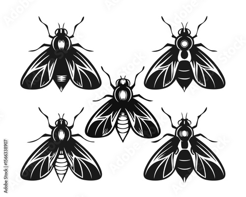 Collection of striking black silhouettes showcasing various insect forms perfect for graphic design projects and thematic illustrations