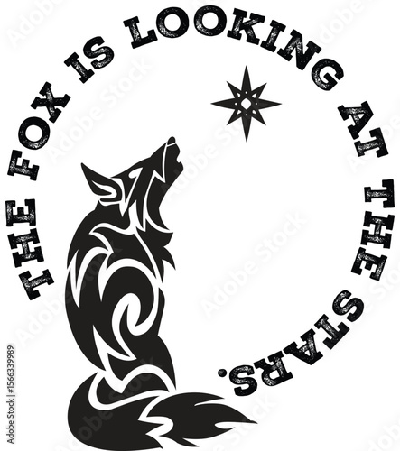 The fox is looking at the stars.