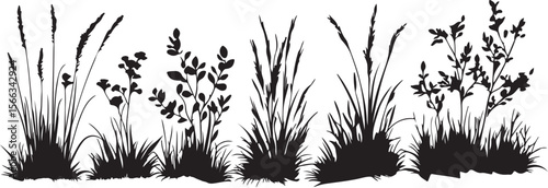 Black grass silhouette isolated on white