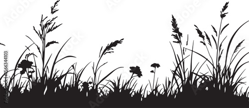 Black grass silhouette isolated on white
