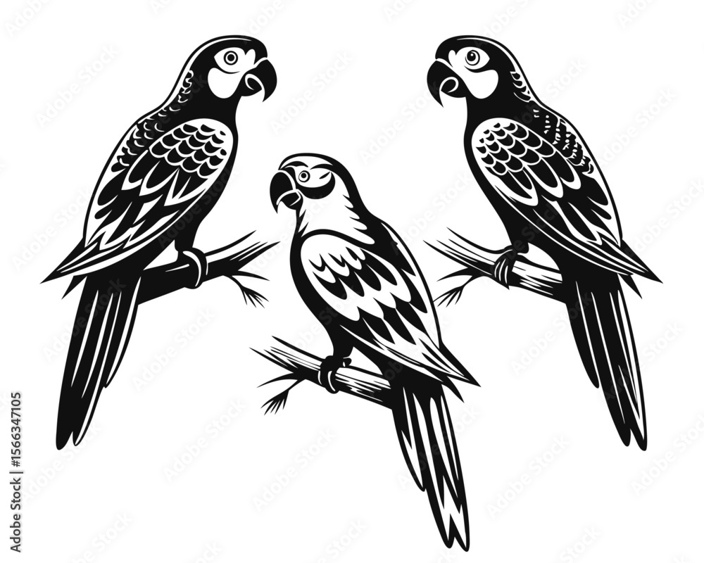 Fototapeta premium Artistic rendering of vibrant parrot birds showcasing a distinctive hand drawn aesthetic with bold color accents