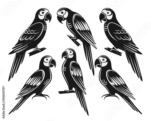 Artistic rendering of diverse parrot species showcasing vibrant plumage and detailed feather textures in a stylized graphic presentation