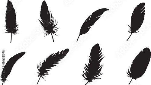 Collection of black silhouette feathers