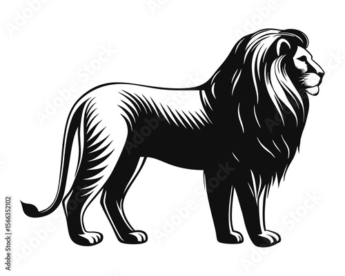Collection of majestic african lion silhouettes showcasing powerful poses and regal presence on a clean white background for diverse design applications