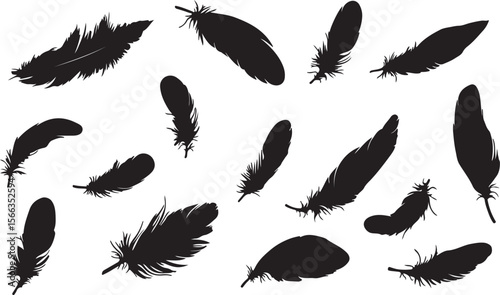 Collection of black silhouette feathers