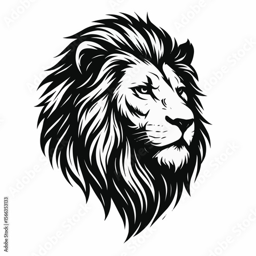 lion vector illustration