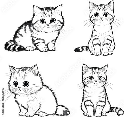 Adorable Kitten Illustrations Four Cute Cat Drawings in Black and White
