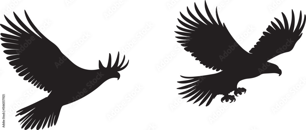 Obraz premium Flying Eagle Silhouettes