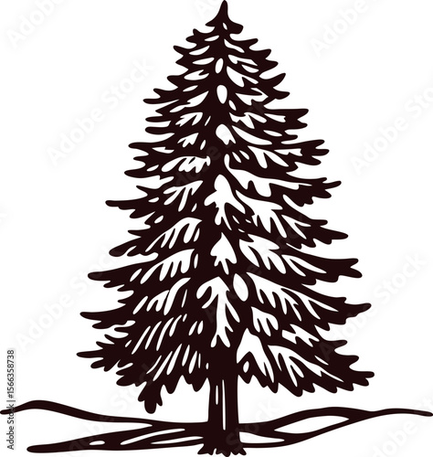 Hand drawn vintage pine tree illustration isolated on white background engraved evergreen conifer sketch art