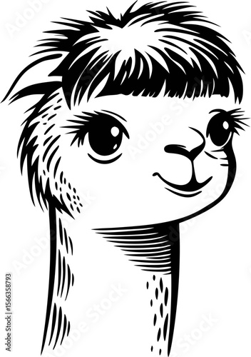 Hand drawn head of an alpaca cute stylized animal illustration in black and white engraving