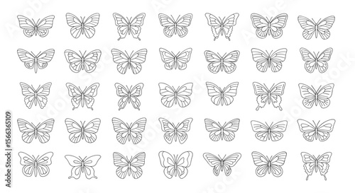 A collection of abstract butterfly wing patterns generated through artistic exploration