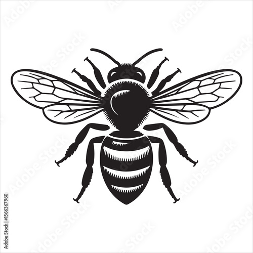 vector illustration of a bee